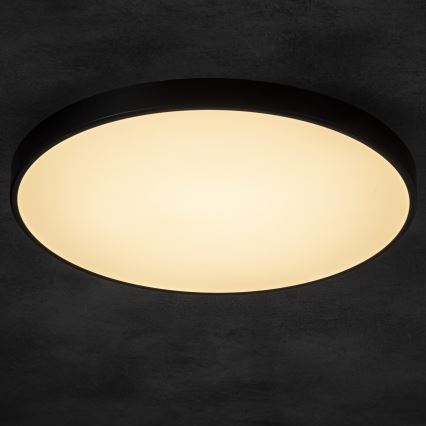 LED Aptumšojama griestu lampa PLAFON LED/20W/230V 3000-6500K Wi-Fi melna
