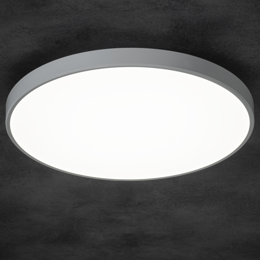 LED Aptumšojama griestu lampa PLAFON LED/20W/230V 3000-6500K Wi-Fi balta