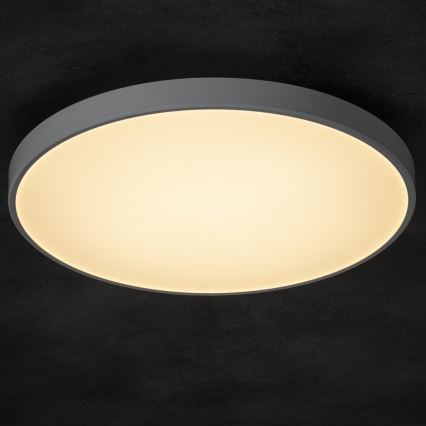 LED Aptumšojama griestu lampa PLAFON LED/20W/230V 3000-6500K Wi-Fi balta