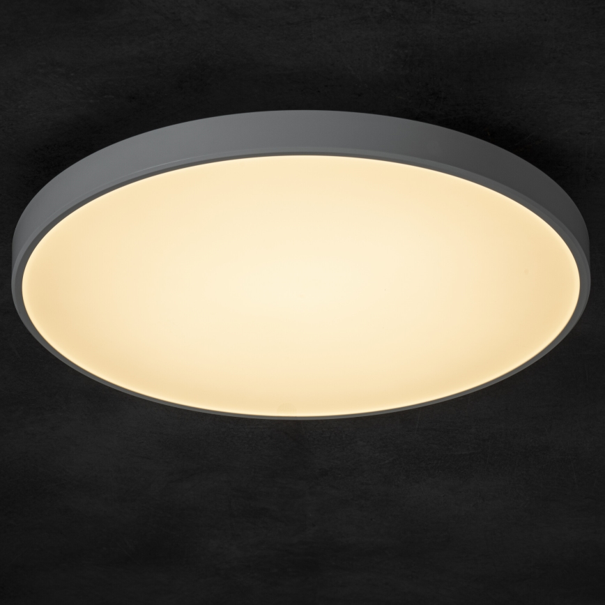 LED Aptumšojama griestu lampa PLAFON LED/20W/230V 3000-6500K Wi-Fi balta
