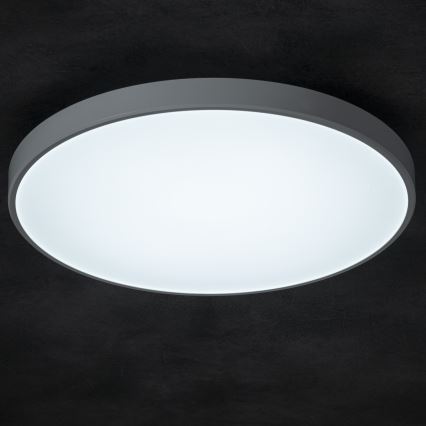 LED Aptumšojama griestu lampa PLAFON LED/20W/230V 3000-6500K Wi-Fi balta
