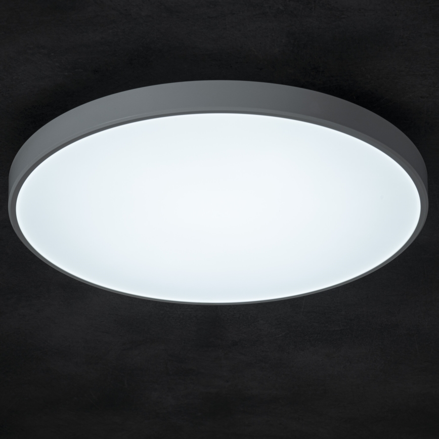 LED Aptumšojama griestu lampa PLAFON LED/20W/230V 3000-6500K Wi-Fi balta