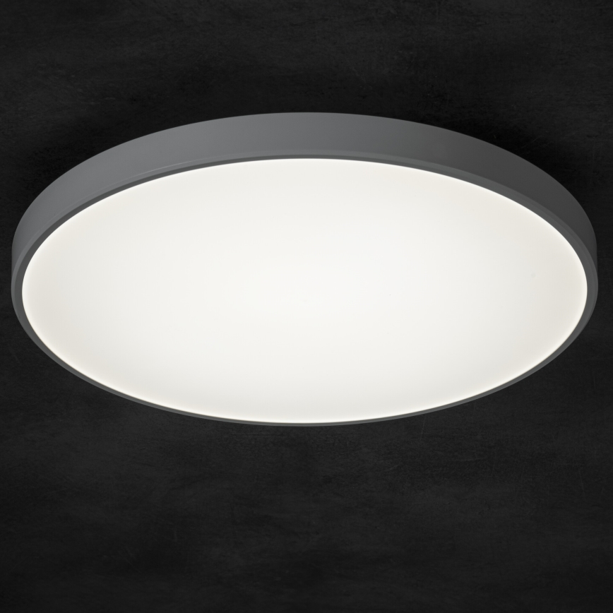 LED Aptumšojama griestu lampa PLAFON LED/20W/230V 3000-6500K Wi-Fi balta