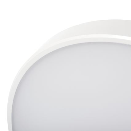 LED Aptumšojama griestu lampa PLAFON LED/20W/230V 3000-6500K Wi-Fi balta