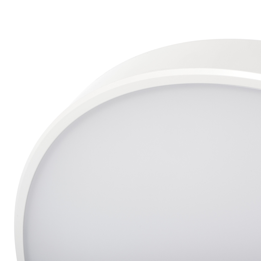 LED Aptumšojama griestu lampa PLAFON LED/20W/230V 3000-6500K Wi-Fi balta