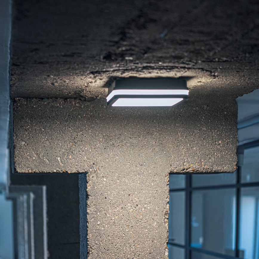 LED Āra griestu lampa ar kustību sensoru BENO LED/24/30W/230V 3000/3500/4000K IP65 antracīta leņķa