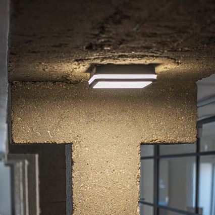 LED Āra griestu lampa BENO LED/12/18W/230V 3000/3500/4000K IP65 antracīta leņķa
