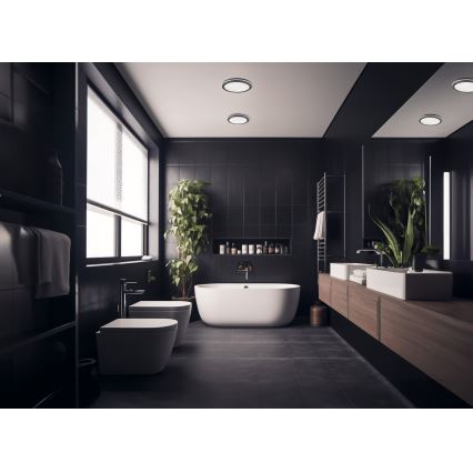 LED Āra griestu lampa BENO LED/12/18W/230V 3000/3500/4000K IP65 antracīta apaļa