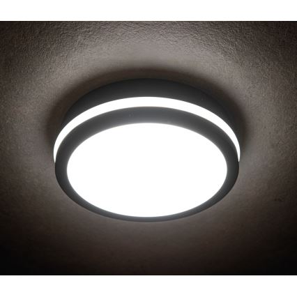 LED Āra griestu lampa BENO LED/12/18W/230V 3000/3500/4000K IP65 antracīta apaļa