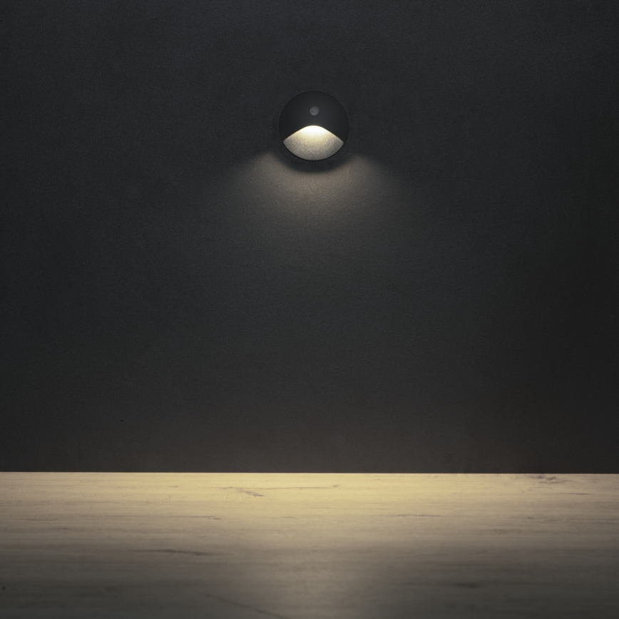 LED kāpņu gaismeklis ar kustības un krēslas sensoru EXIN LED/2,5W/230V 4000K IP65 antracīts apaļš