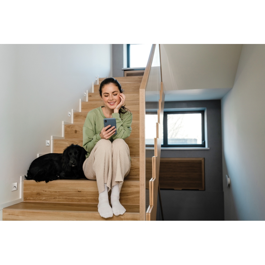 LED kāpņu gaismeklis EXIN LED/2,5W/230V 4000K IP65 balts kvadrātveida