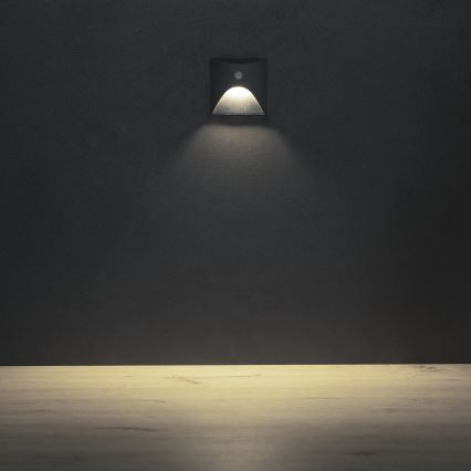 LED kāpņu gaismeklis ar kustības un krēslas sensoru EXIN LED/2,5W/230V 4000K IP65 antracīts kvadrātveida