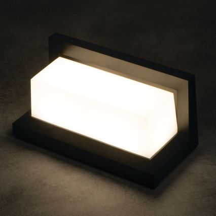 LED āra sienas gaismeklis LERTO LED/12W/230V IP54 melns