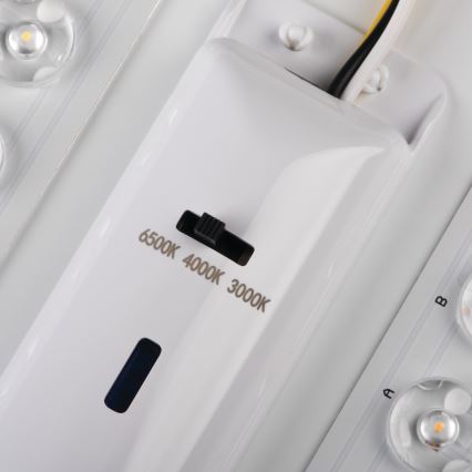 LED Griestu lampa LINCEA LED/15/20/24W/230V 3000/4000/6500K IK08 IP40
