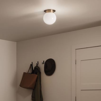 Kichler KL-ALBERS-F-G-CPZ-Griestu lampa ALBERS 1xE27/40W/230V Ø20,3 cm zeltaina