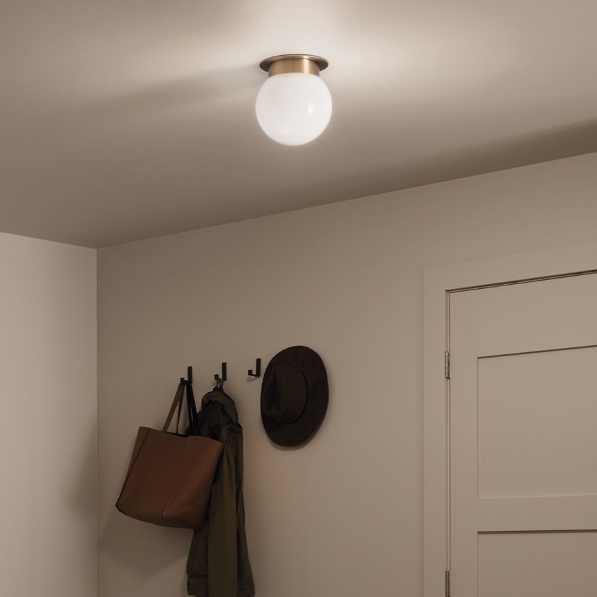 Kichler KL-ALBERS-F-G-CPZ-Griestu lampa ALBERS 1xE27/40W/230V Ø20,3 cm zeltaina