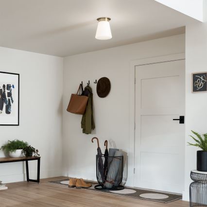 Kichler - Griestu lampa ALBERS 1xE27/40W/230V Ø 21,6 cm bronzas krāsas