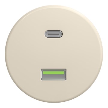 Kliklap - Retro USB kontaktligzda A+C bez rāmja, bēša