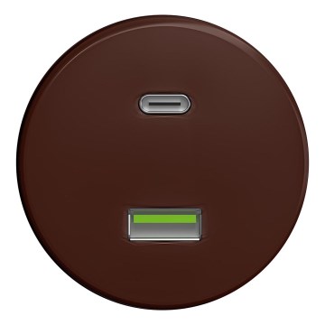 Kliklap - Retro USB ligzda A+C bez rāmja brūna