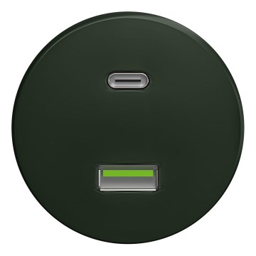 Kliklap - Retro USB ligzda A+C bez rāmja zaļa