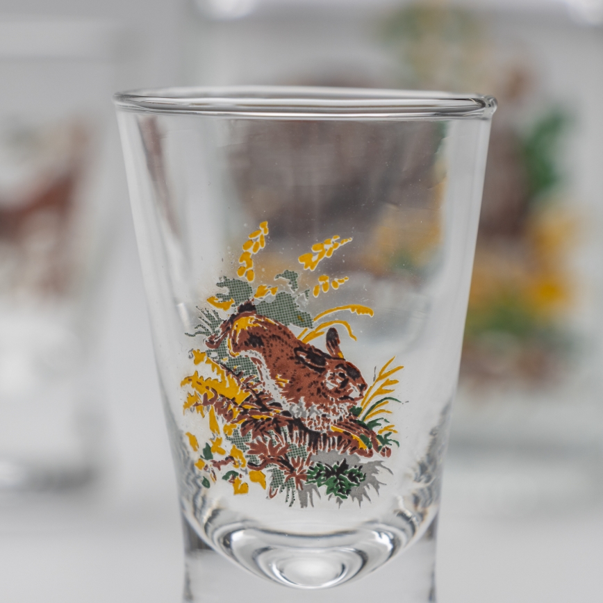 Komplekts  1x stikla pudele un 2x glāzīte caurspīdīga ar wild boar motif