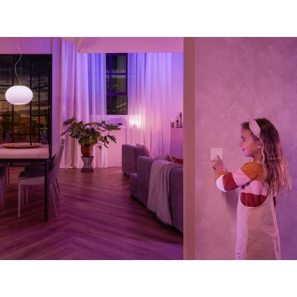 KOMPLEKTS 2x Sienas slēdzis modulim Philips Hue SWITCH