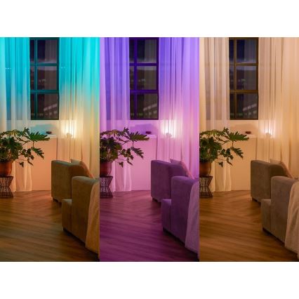 KOMPLEKTS 2x Sienas slēdzis modulim Philips Hue SWITCH