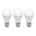 KOMPLEKTS 3x LED Spuldze ECOLINE A60 E27/10W/230V 6500K - Brilagi