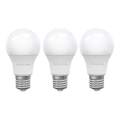 KOMPLEKTS 3x LED Spuldze ECOLINE A60 E27/15W/230V 6500K - Brilagi