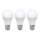 KOMPLEKTS 3x LED Spuldze ECOLINE A60 E27/15W/230V 6500K - Brilagi