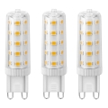 KOMPLEKTS 3x LED Spuldze ECOLINE G9/4,5W/230V 3000K - Brilagi