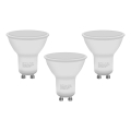 KOMPLEKTS 3x LED Spuldze ECOLINE GU10/6W/230V 4000K - Brilagi