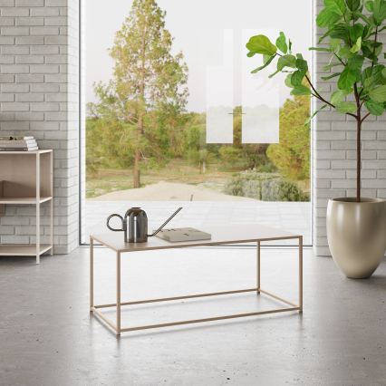 Konferenču galdiņš SARON 100x50 cm pelēks