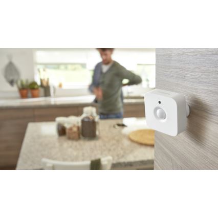 Kustību sensors Philips Hue 2xAAA IP42