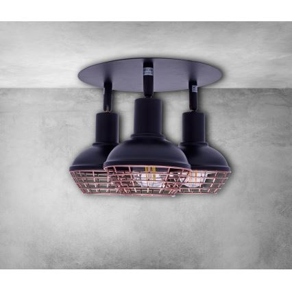 Lampa LOGAN 3xE14/40W/230V