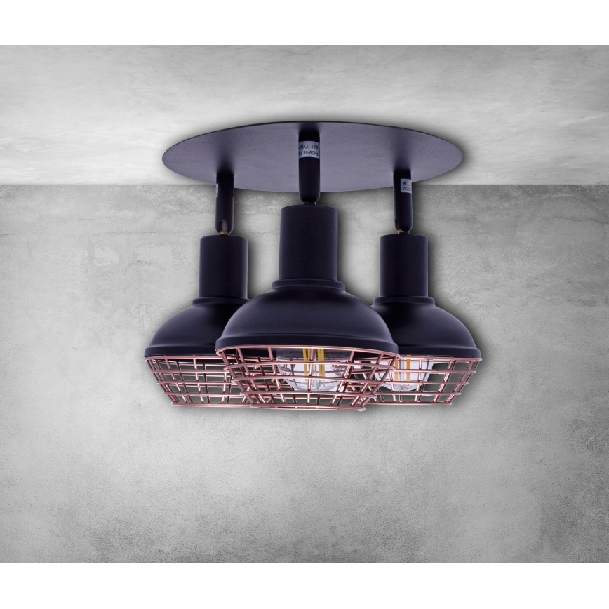 Lampa LOGAN 3xE14/40W/230V