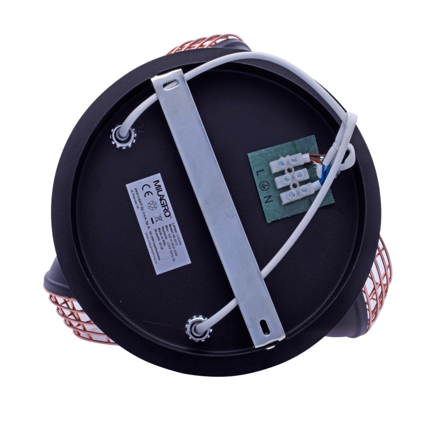 Lampa LOGAN 3xE14/40W/230V