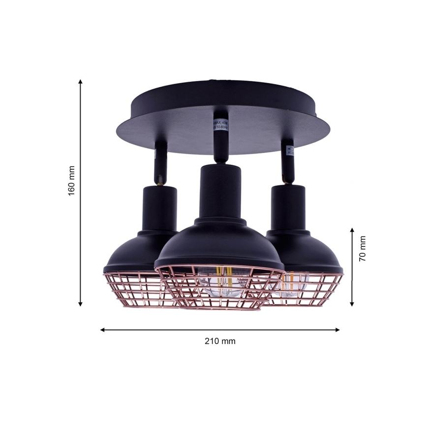 Lampa LOGAN 3xE14/40W/230V