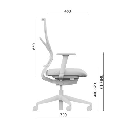LD Seating - Biroja krēsls ar galvas balstu ARCUS pelēka/zaļa