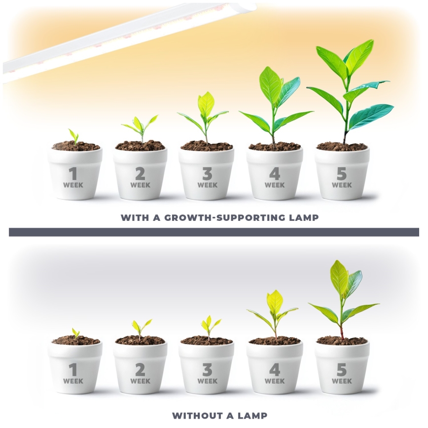 LED apakšgaismas ierīce augu audzēšanai GROWLY LED/15W/230W