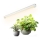 LED apakšgaismojums augu audzēšanai GROWLY LED/9W/230V balts