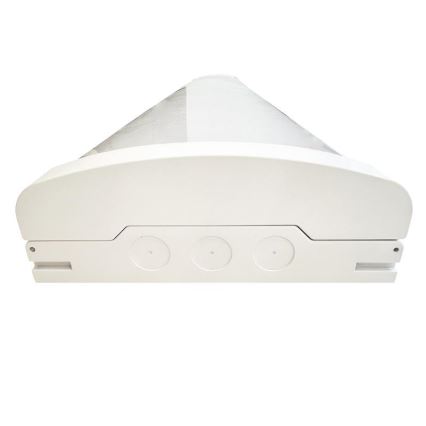 LED Aptumšojama dienasgaismas lampa LED/35W/44W/52W/60W/230V 4000K 120 cm