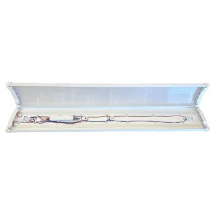 LED Aptumšojama dienasgaismas lampa LED/35W/44W/52W/60W/230V 4000K 120 cm