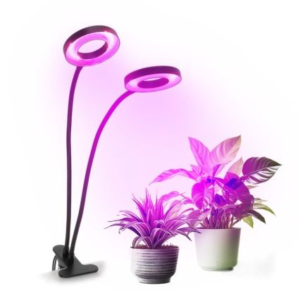 LED Aptumšojama pielāgojama galda lampa ar stiprinājumu augu audzēšanai VITARO 2xLED/4W/230V melna
