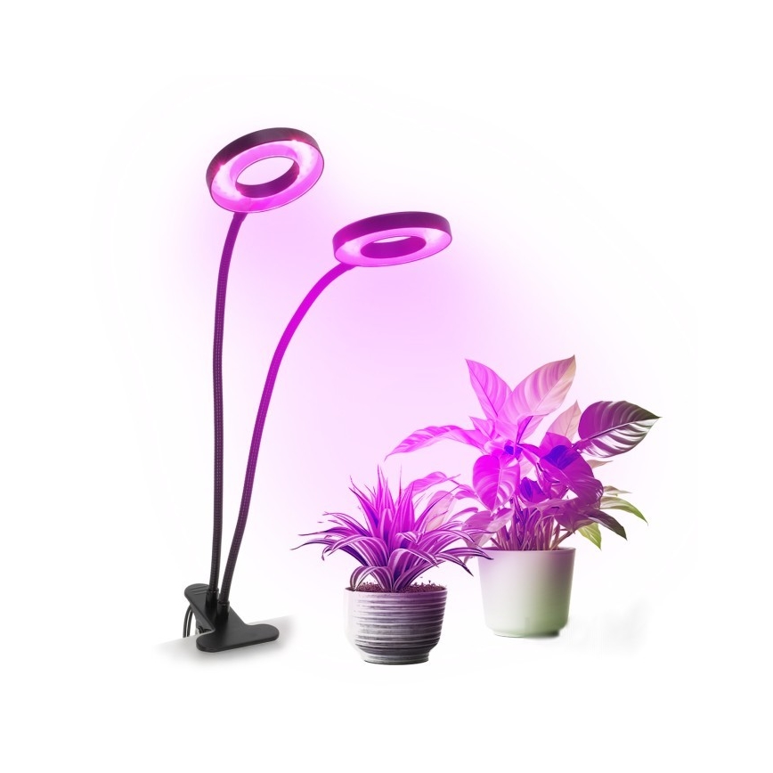 LED Aptumšojama pielāgojama galda lampa ar stiprinājumu augu audzēšanai VITARO 2xLED/4W/230V melna