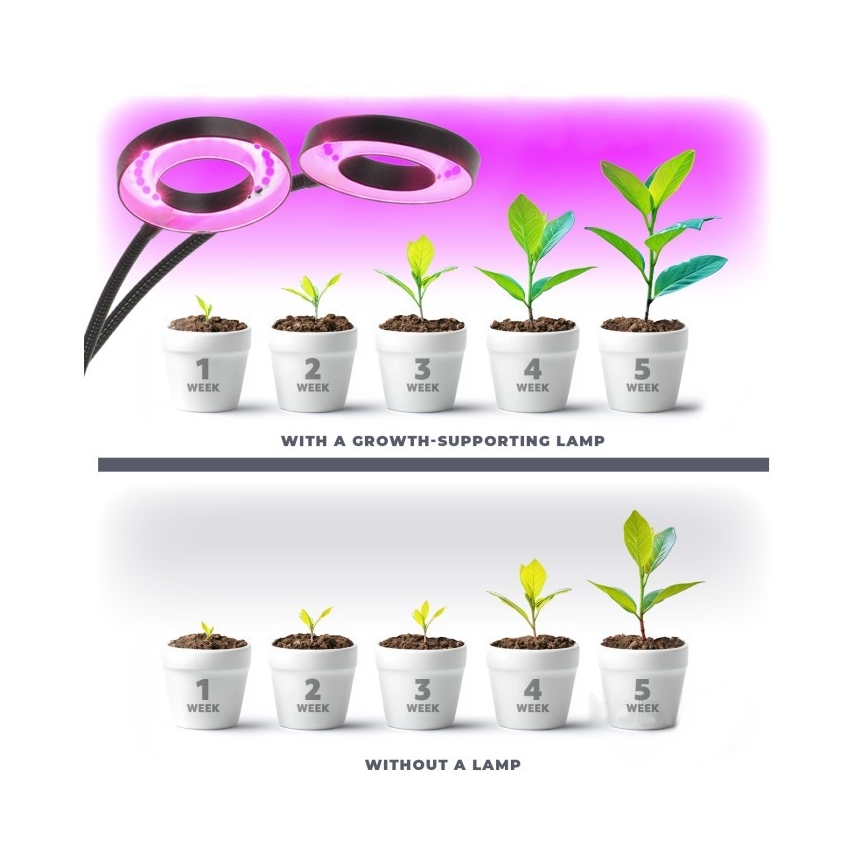 LED Aptumšojama pielāgojama galda lampa ar stiprinājumu augu audzēšanai VITARO 2xLED/4W/230V melna