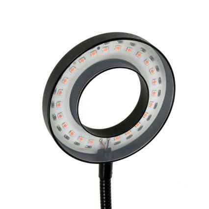 LED Aptumšojama pielāgojama galda lampa ar stiprinājumu augu audzēšanai VITARO 2xLED/4W/230V melna