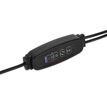 LED Aptumšojama pielāgojama galda lampa ar stiprinājumu augu audzēšanai VITARO 2xLED/4W/230V melna