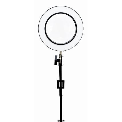 LED Aptumšojama galda lampa ar palielināmo stiklu LED/10W/230V 3000/4500/6000K