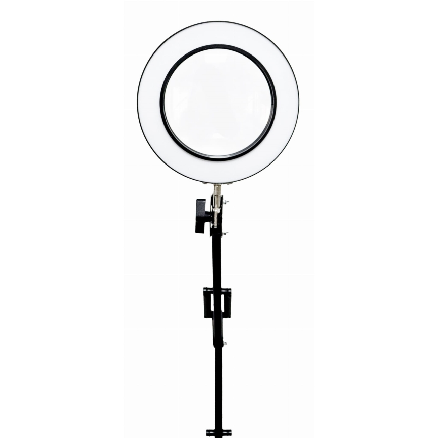 LED Aptumšojama galda lampa ar palielināmo stiklu LED/10W/230V 3000/4500/6000K